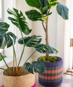 Natural Life SUMMER SHOP Katya Planter Basket Set