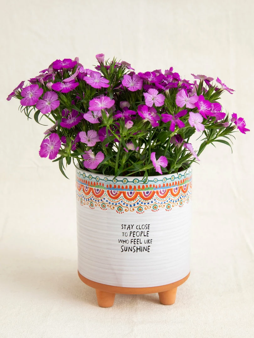 Natural Life Artisan Planter 4 Natural Life Artisan Planter