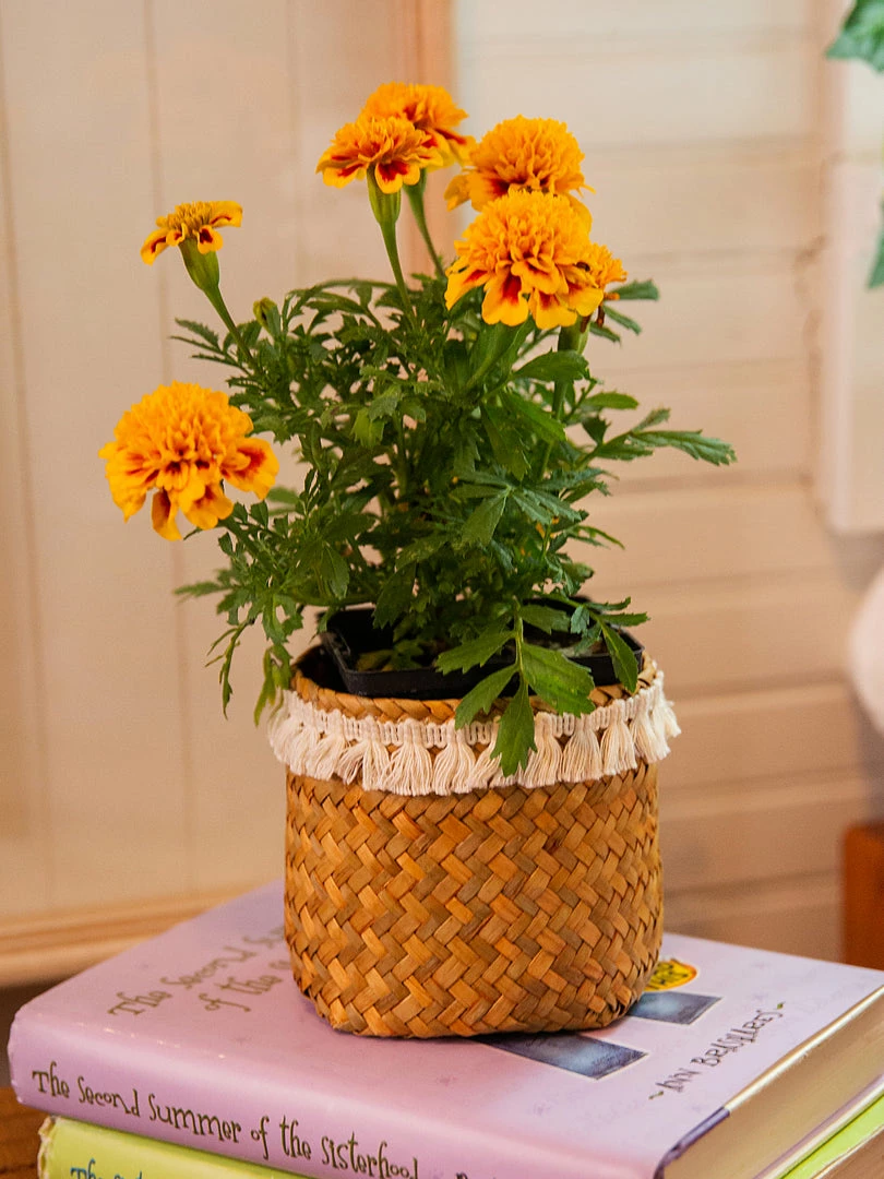 Natural Life Back To Campus Set Of 3 Small Woven Baskets 6 Natural Life Back To Campus Set Of 3 Small Woven Baskets