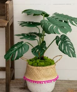 Natural Life Belly Basket Set Back To Campus 23 Natural Life Belly Basket Set Back To Campus