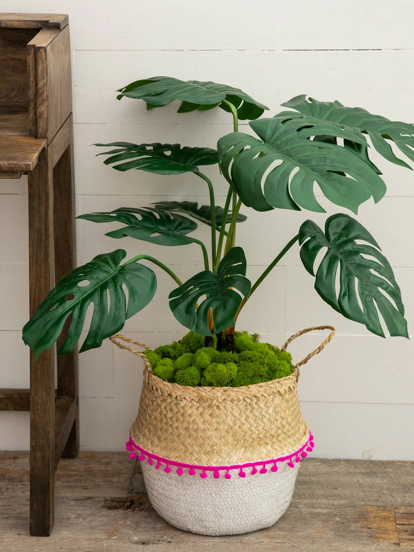 Natural Life Belly Basket Set Back To Campus 11 Natural Life Belly Basket Set Back To Campus