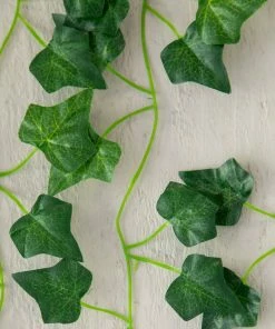 Natural Life Set Of 5 Vine Garland Back To Campus