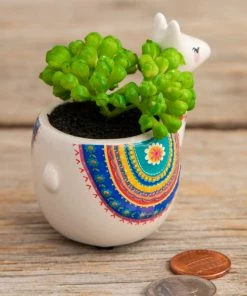 Natural Life FUN & GIFTS Tiny Faux Succulents 20 Natural Life FUN & GIFTS Tiny Faux Succulents