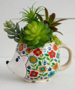 Natural Life HOME & LIVING Faux Succulent Bundle