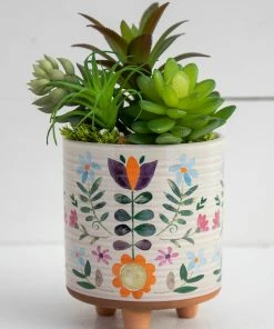 Natural Life HOME & LIVING Faux Succulent Bundle