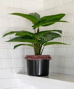 Natural Life Back In Stock Small Potted Faux Plant