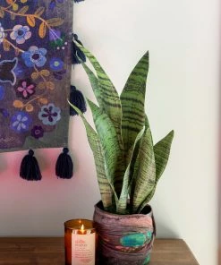 Natural Life Back In Stock Small Potted Faux Plant 18 Natural Life Back In Stock Small Potted Faux Plant