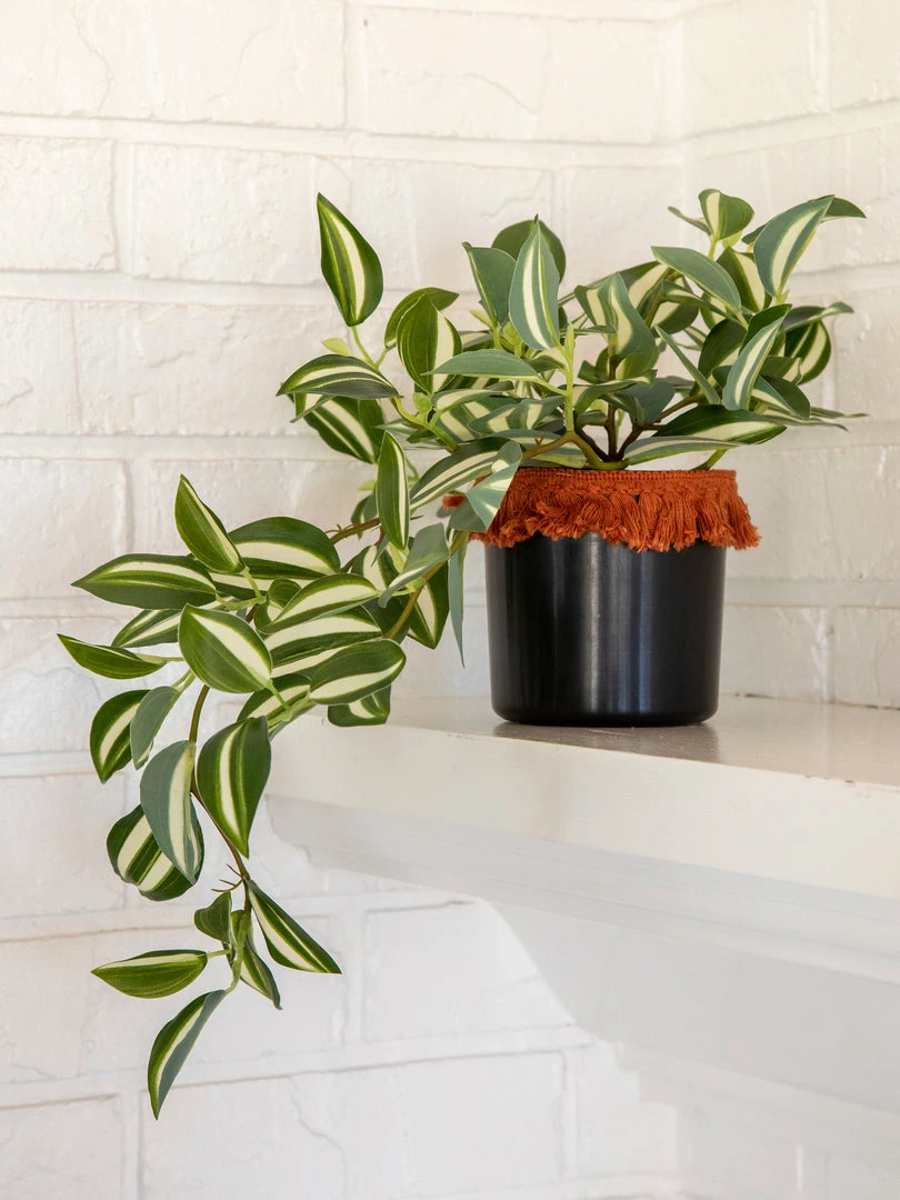 Natural Life Back In Stock Small Potted Faux Plant 11 Natural Life Back In Stock Small Potted Faux Plant