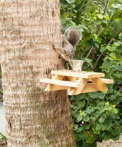 Natural Life Beach & Outdoors Squirrel Picnic Table Feeder
