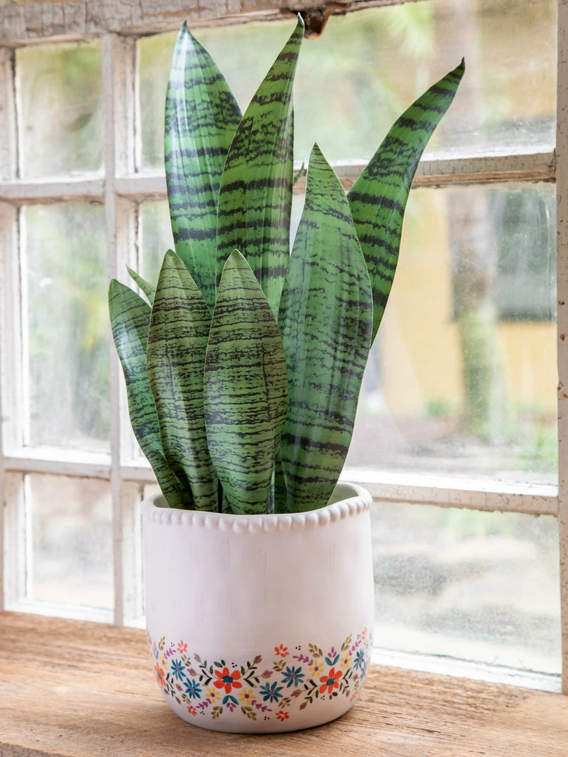 Natural Life Ceramic Planter 6 Natural Life Ceramic Planter