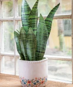 Natural Life Back In Stock Small Potted Faux Plant 20 Natural Life Back In Stock Small Potted Faux Plant
